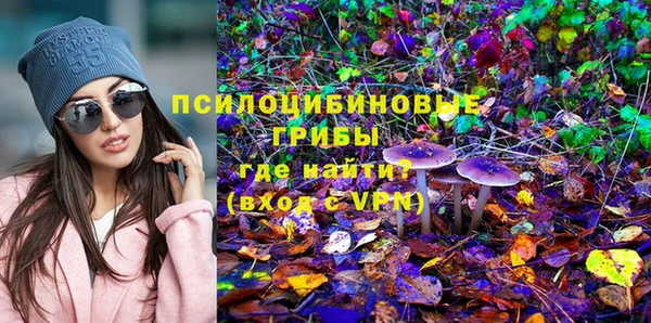 МДПВ Алексин