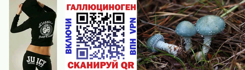 гидра зеркало  Родники  Псилоцибиновые грибы мухоморы 
