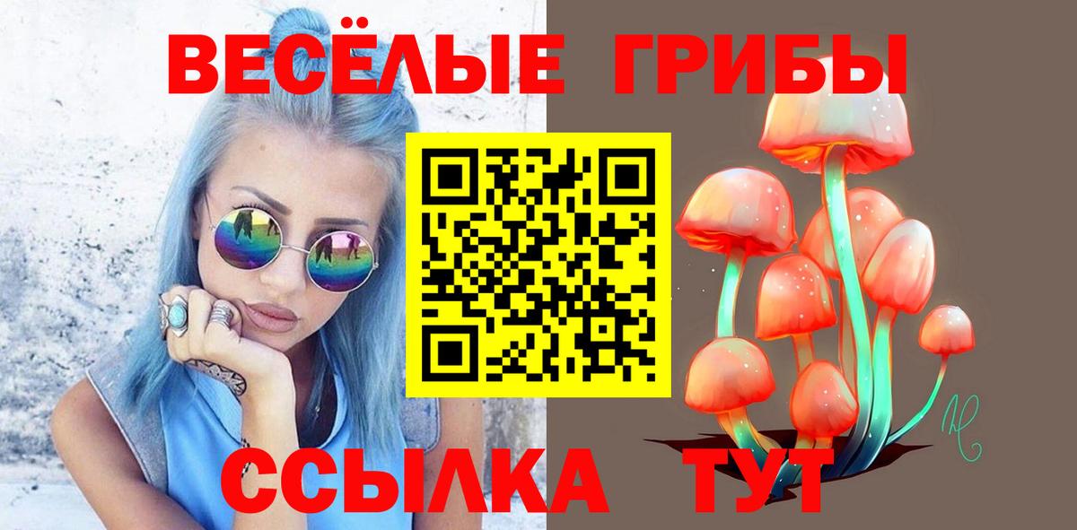 Родники  Псилоцибиновые грибы GOLDEN TEACHER  Вход с VPN 